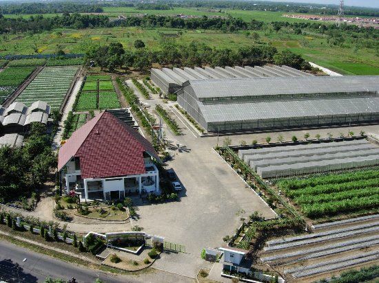 Taman Puspa Lebo